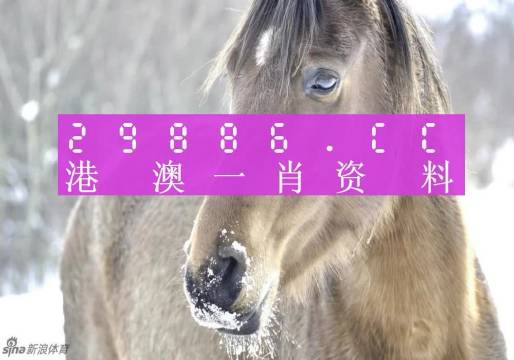 资讯 第250页