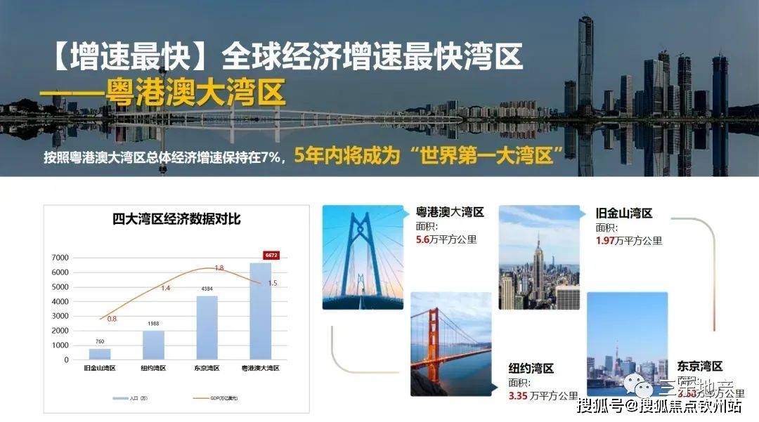 新奥门免费资料大全功能介绍,新澳门免费资料大全功能介绍及深度解析