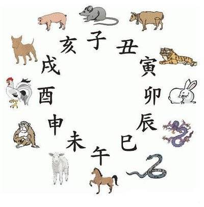 2025今晚最准四不像,今晚最准四不像，探索未来与现实的交融