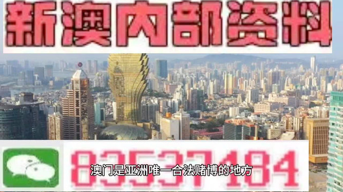 204年澳门免费精准资料,澳门免费精准资料，探索与解读