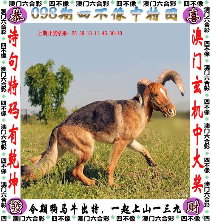 新闻 第182页