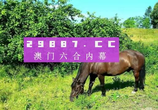 今晚澳门精准一肖一马,今晚澳门精准一肖一马——探寻幸运的秘密