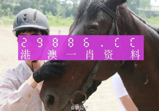 今晚澳门必中一肖一码,今晚澳门必中一肖一码，探寻幸运的秘密
