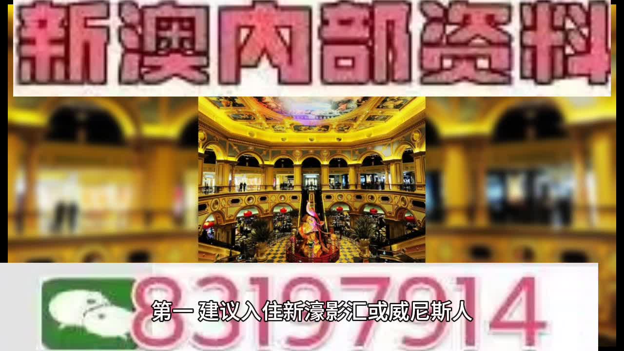 今晚澳门特马开奖结果,今晚澳门特马开奖结果，期待与惊喜的交织