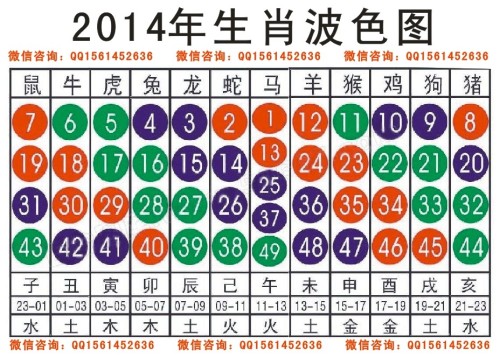十二生肖与2025年之49个码,十二生肖与2025年之49个码，探寻文化交融与数字奥秘