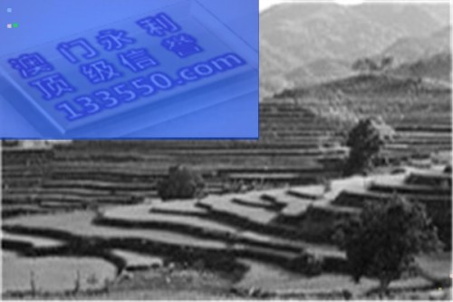 2025澳门今天晚上开什么生肖啊,澳门生肖预测与未来展望，探寻2025年今晚生肖运势
