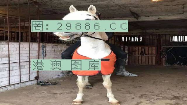 热点 第24页