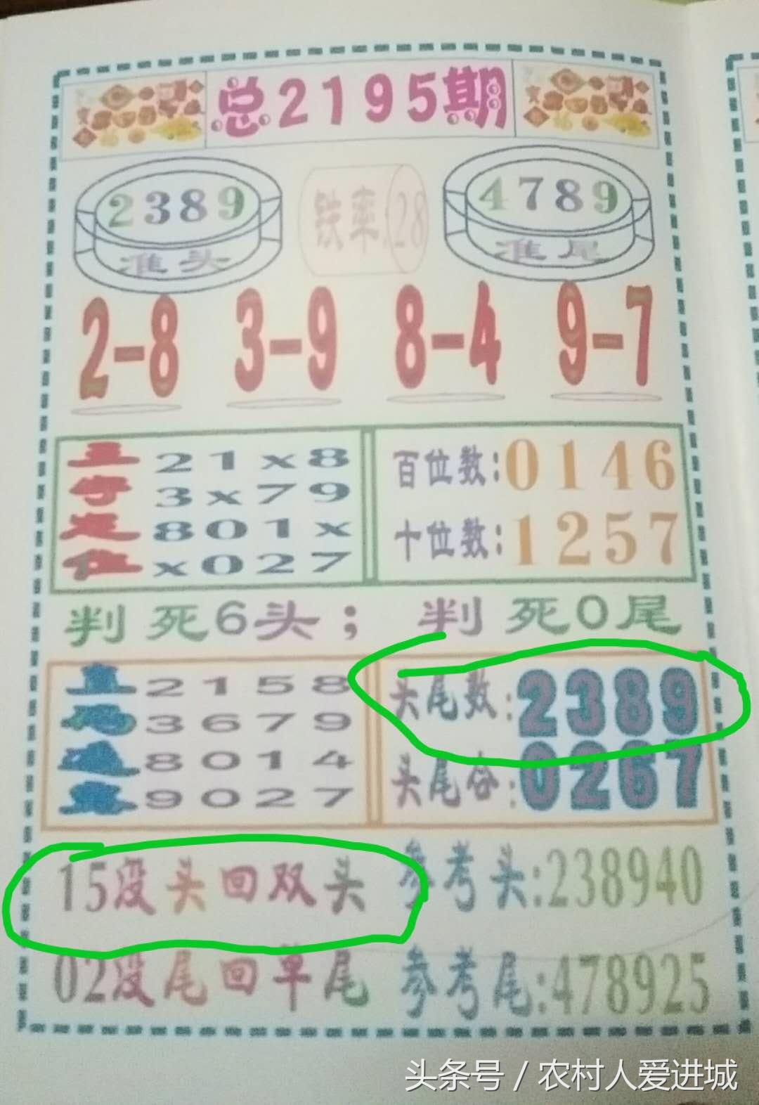 澳门一肖中100%期期准揭秘,澳门一肖中100%期期准揭秘，探索背后的秘密与真相